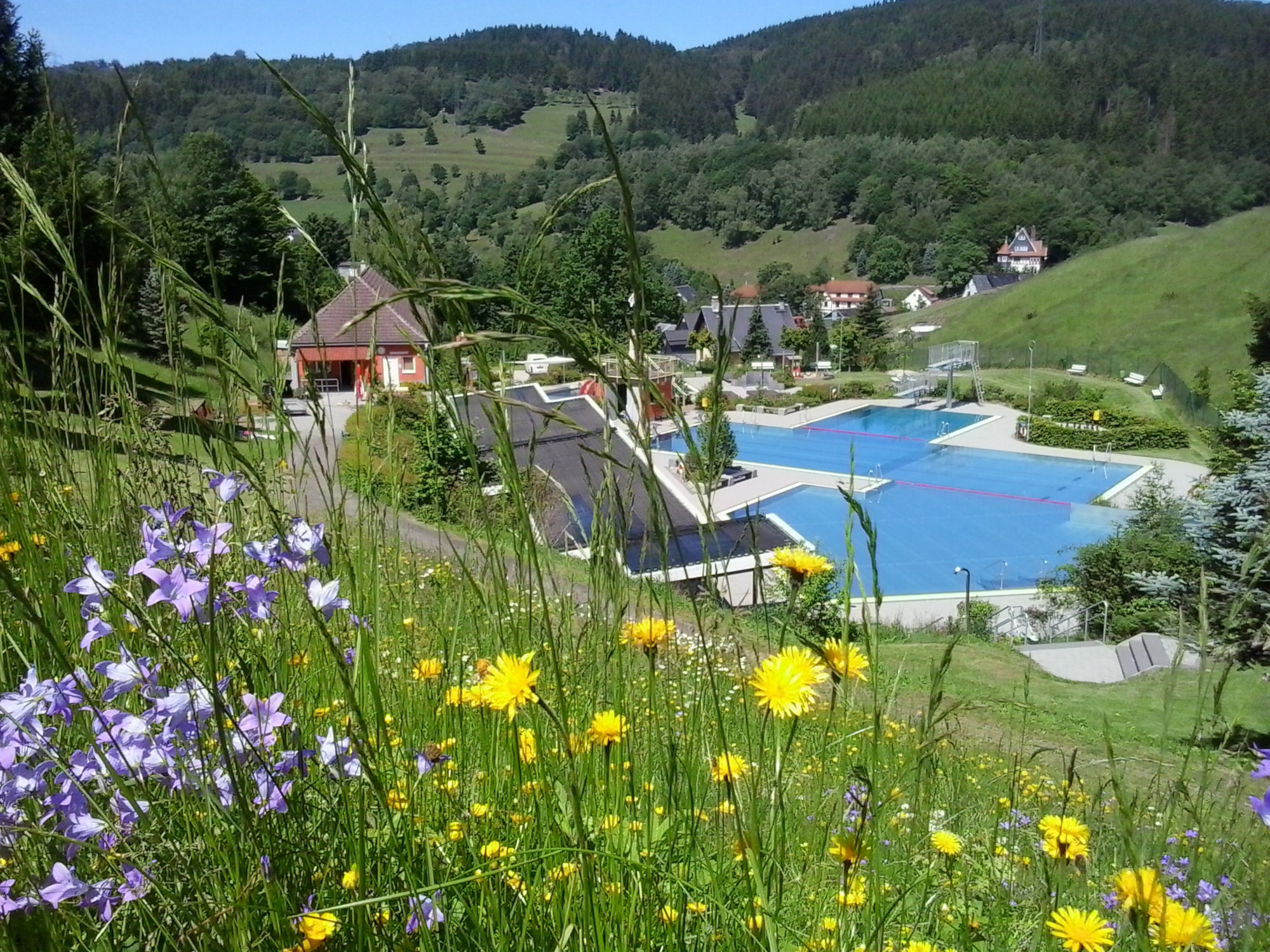 Terrassenbad Schonbrunn